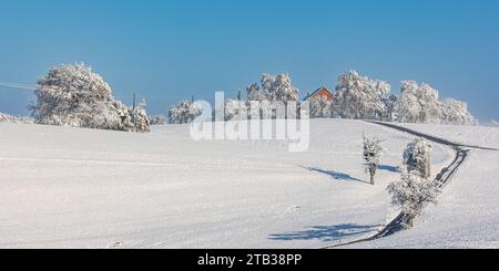 Winterliches Landschaft der Winter hat die Landschaft rund um die deutsche Gemeinde Degernau, welche ein Ortssteil von Wutöschingen ist, fest im Griff. Degernau, Deutschland, 03.12.2023 *** Winterlandschaft der Winter hat die Landschaft rund um die deutsche Gemeinde Degernau, die Teil von Wutöschingen Degernau ist, 03 12 2023 Credit: Imago/Alamy Live News Stockfoto