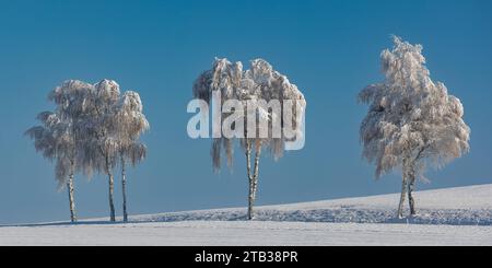 Winterliches Landschaft der Winter hat die Landschaft rund um die deutsche Gemeinde Degernau, welche ein Ortssteil von Wutöschingen ist, fest im Griff. Degernau, Deutschland, 03.12.2023 *** Winterlandschaft der Winter hat die Landschaft rund um die deutsche Gemeinde Degernau, die Teil von Wutöschingen Degernau ist, 03 12 2023 Credit: Imago/Alamy Live News Stockfoto