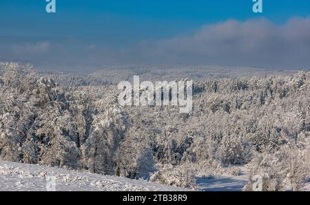 Winterliches Landschaft der Winter hat die Landschaft rund um die deutsche Gemeinde Degernau, welche ein Ortssteil von Wutöschingen ist, fest im Griff. Degernau, Deutschland, 03.12.2023 *** Winterlandschaft der Winter hat die Landschaft rund um die deutsche Gemeinde Degernau, die Teil von Wutöschingen Degernau ist, 03 12 2023 Credit: Imago/Alamy Live News Stockfoto