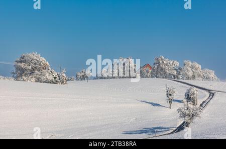 Winterliches Landschaft der Winter hat die Landschaft rund um die deutsche Gemeinde Degernau, welche ein Ortssteil von Wutöschingen ist, fest im Griff. Degernau, Deutschland, 03.12.2023 *** Winterlandschaft der Winter hat die Landschaft rund um die deutsche Gemeinde Degernau, die Teil von Wutöschingen Degernau ist, 03 12 2023 Credit: Imago/Alamy Live News Stockfoto