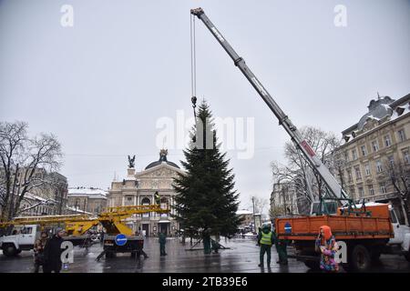 Lviv, Ukraine. Dezember 2023. Arbeiter installieren einen Weihnachtsbaum auf dem Platz vor der Oper in Lemberg. Nach langen Gesprächen wurde trotz der Machbarkeit eines Weihnachtsbaums während des russisch-ukrainischen Krieges entschieden, diesen trotzdem zu installieren. Ein Bewohner der Gemeinde präsentierte der Stadt den Weihnachtsbaum von seinem eigenen Bauernhof. Daher wurde kein Geld aus dem Budget für sie ausgegeben. Beleuchtung, die 2018 gekauft wurde, wird zur Beleuchtung des Weihnachtsbaums verwendet. (Foto: Pavlo Palamarchuk/SOPA Images/SIPA USA) Credit: SIPA USA/Alamy Live News Stockfoto