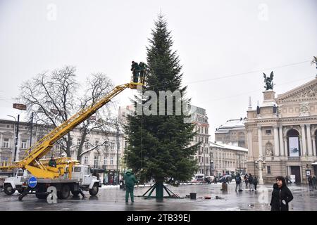 Lviv, Ukraine. Dezember 2023. Arbeiter installieren einen Weihnachtsbaum auf dem Platz vor der Oper in Lemberg. Nach langen Gesprächen wurde trotz der Machbarkeit eines Weihnachtsbaums während des russisch-ukrainischen Krieges entschieden, diesen trotzdem zu installieren. Ein Bewohner der Gemeinde präsentierte der Stadt den Weihnachtsbaum von seinem eigenen Bauernhof. Daher wurde kein Geld aus dem Budget für sie ausgegeben. Beleuchtung, die 2018 gekauft wurde, wird zur Beleuchtung des Weihnachtsbaums verwendet. (Foto: Pavlo Palamarchuk/SOPA Images/SIPA USA) Credit: SIPA USA/Alamy Live News Stockfoto