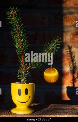 Zwei Tannenwedel mit einer einzelnen billigen hängenden Kugel saßen in einem Smiley Gesicht Eierbecher Konzept Budget Kosten für lebende Krisen weihnachtsbaum Dekoration Stockfoto