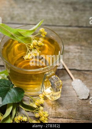 Lindentee in einem Glasbecher. Frischer Blumentee. Heiße Kräutergetränke im Winter Stockfoto