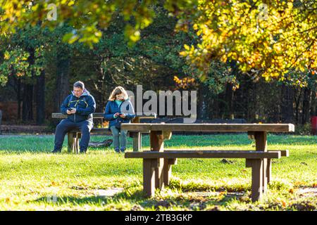 Herbstfarben im Royal Forest of Dean – Ein Paar, das sein Mobiltelefon auf dem Land in Cannop Ponds, Gloucestershire, Großbritannien, nutzen möchte Stockfoto