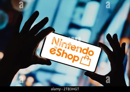 Brasilien. Dezember 2023. In dieser Abbildung wird das Nintendo eShop-Logo auf einem Smartphone-Bildschirm angezeigt. (Foto von Rafael Henrique/SOPA Images/SIPA USA) *** ausschließlich für redaktionelle Nachrichten *** Credit: SIPA USA/Alamy Live News Stockfoto