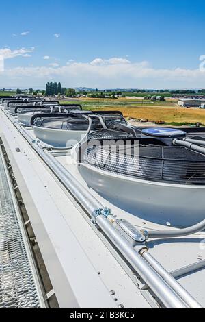Elektrische Ventilatoren auf einem adiabatischen Kondensator auf dem Dach eines CO2-Kühllagers (Industriekühlung). Stockfoto