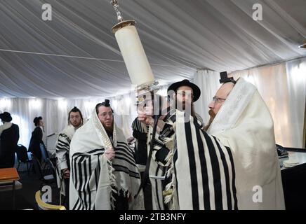 Nach einem Wochentag erhebt die Thora, die ein orthodoxer Jude liest, die Thora, weil alle, die die Briefe sehen, gesegnet sind. Im Rockland County, New York. Stockfoto