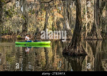 USA, Texas, Jefferson, Caddo Lake, Big Cypress Bayou, Stockfoto