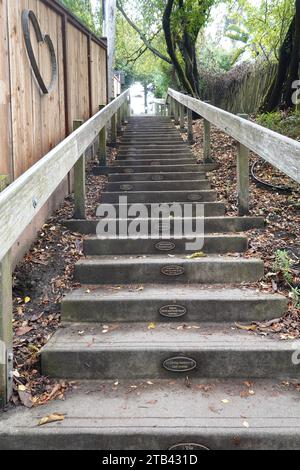 Die 670 Dipsea Steps am Anfang des historischen Weges vom Mill Valley nach Stinson Beach, Mill Valley, San Francisco, Kalifornien, USA Stockfoto