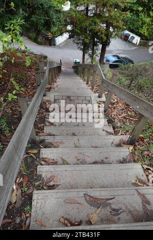 Die 670 Dipsea Steps am Anfang des historischen Weges vom Mill Valley nach Stinson Beach, Mill Valley, San Francisco, Kalifornien, USA Stockfoto