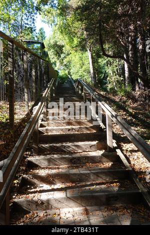 Die 670 Dipsea Steps am Anfang des historischen Weges vom Mill Valley nach Stinson Beach, Mill Valley, San Francisco, Kalifornien, USA Stockfoto