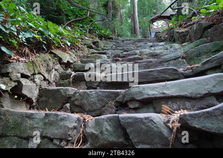Die 670 Dipsea Steps am Anfang des historischen Weges vom Mill Valley nach Stinson Beach, Mill Valley, San Francisco, Kalifornien, USA Stockfoto