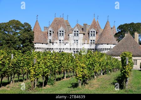 Das Château de Monbazillac, umgeben von seinem berühmten Weinberg. Erzeugung von Süßwein. Bergerac Weinberg. Monbazillac, Périgord, Dordogne, Fran Stockfoto