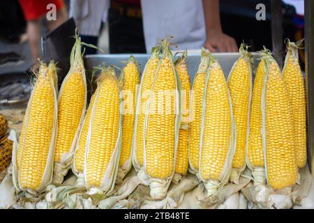 Viele organische frische Geschälte Körner Stockfoto