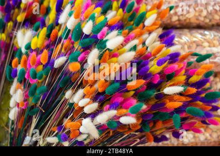 Gefärbte, trockene, bunte Blume für Dozerationszwecke Stockfoto