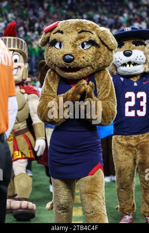 1. Dezember 2023: Wilma T. Wildcat, das offizielle Maskottchen der University of Arizona, am Rande des Pac-12 Football Championship Game mit den Oregon Ducks und den Washington Huskies im Allegiant Stadium in Las Vegas, NV. Christopher Trim/CSM. (Kreditbild: © Christopher Trim/Cal Sport Media) Stockfoto