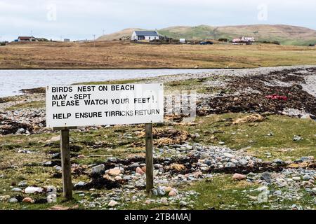 Ein Schild in North Roe, Shetland, warnt die Leute, vorsichtig zu sein, wenn Tirricks am Strand nisten. Tirricks ist das lokale Shetland-Wort für arktische Terns. Stockfoto