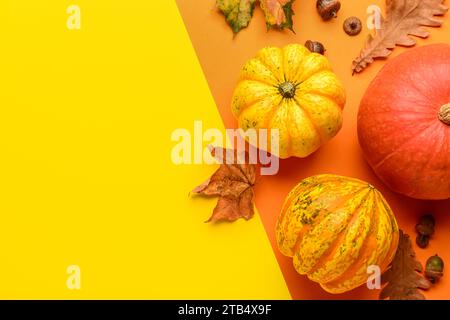 Frische Kürbisse mit Herbstblättern und Eicheln auf farbenfrohem Hintergrund Stockfoto