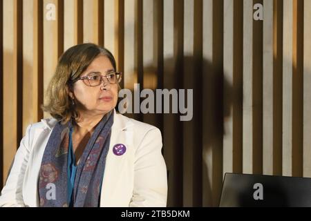 Rio De Janeiro, Brasilien. Dezember 2023. Aparecida Goncalves, Ministerin für Frauen, während des Mercosul Sozialgipfels, im Museum von morgen, im Stadtzentrum, diesen Montag, den 4. Dezember. Quelle: Brazil Photo Press/Alamy Live News Stockfoto