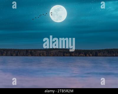 Vogelsilhouetten fliegen nachts bei Vollmond über den See. Vollmond über dem See und eine Schar Schwäne Stockfoto