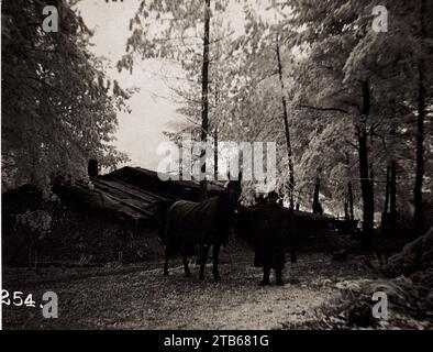 Waldlager, Protzen bei der Schmiede, 12.reit.S.Div. (5-II.1918.) Stockfoto