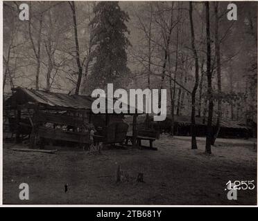 Waldlager, Protzen bei der Schmiede. 12.reit.Sch.Div. (5-II.1918.) Stockfoto