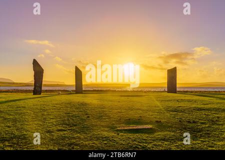 Blick auf den Sonnenuntergang über die Steine von Stenness mit Schafen auf den Orkney Islands, Schottland, Großbritannien Stockfoto