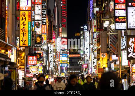 TOKIO/JAPAN - 19. November 2023: Nachtleben in kabukicho, shinjuku. Stockfoto