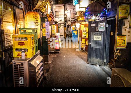 TOKIO/JAPAN - 19. November 2023: Nachtleben in der kabukicho Allee, shinjuku. Stockfoto