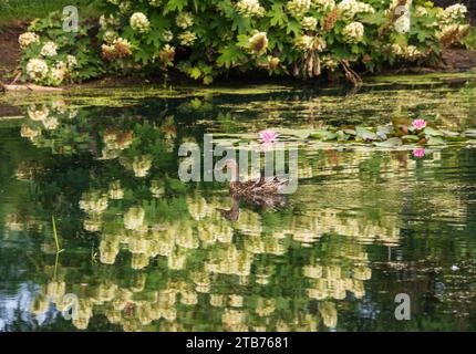 Der Topiary Garden (Deaf School Park) in Columbus Ohio Stockfoto