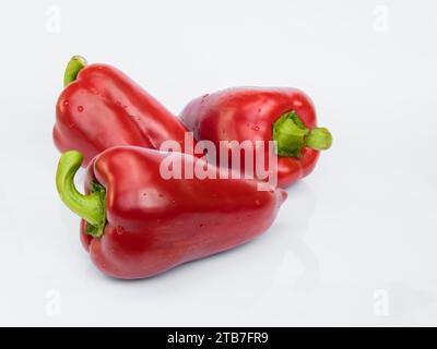 Rote Paprika (Paprika, Paprika) isoliert auf weißem Hintergrund mit Reflexion Stockfoto