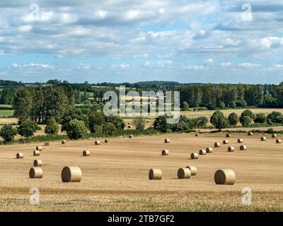 Runde Strohballen auf geerntetem Maisfeld, Leicestershire, England, Vereinigtes Königreich Stockfoto