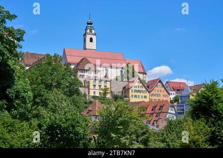 Stiftskirche Heilig Kreuz oberhalb der Altstadt von Horb am Neckar Stockfoto