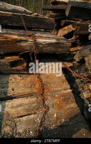 Alte verwitterte Holzstudien Stockfoto