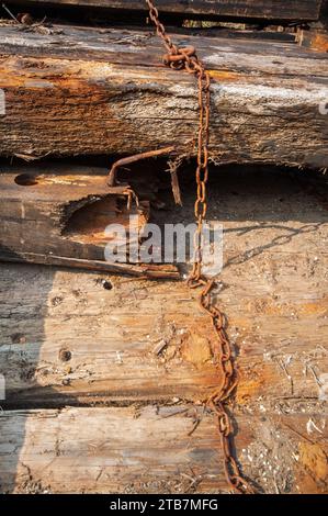 Alte verwitterte Holzstudien Stockfoto