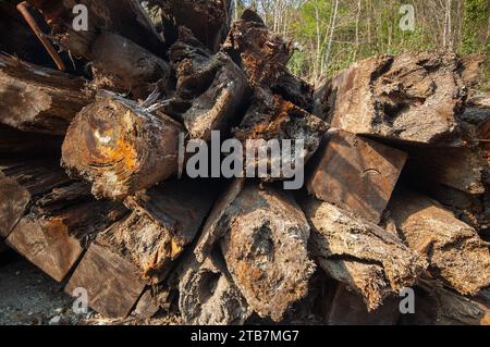 Alte verwitterte Holzstudien Stockfoto