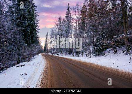 Asphaltstraße durch Tannenwald im Abendlicht. karpaten Winterlandschaft Stockfoto