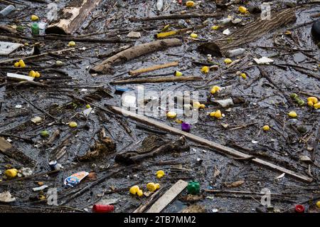 Gelbe Gummienten in einem verschmutzten Fluss Stockfoto