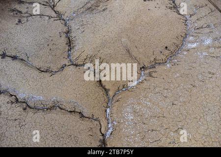 Nahaufnahme der trockenen, zerrissenen Erde mit einem Hauch von Feuchtigkeit, die durch die Risse sickert und die Dürrebedingungen hervorhebt. Stockfoto