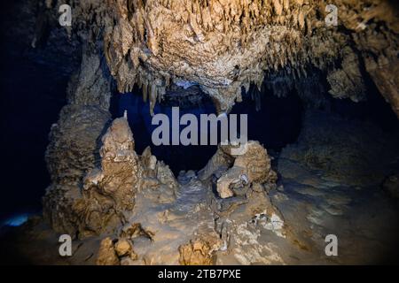 Unterirdische Landschaft mit Stalaktitenformationen, die dramatisch von der Höhlendecke herabhängen und in das dunkle, stille Wasser darunter in Cenote do führen Stockfoto