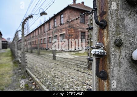 Polen: Auf dem Territorium der Städte Oswiecim und Brzezinka (Birkenau), dem Konzentrationslager Auschwitz-Birkenau Stockfoto