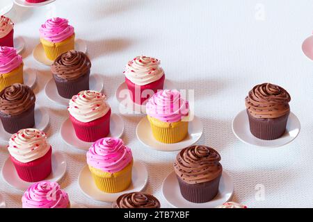 Exquisite Auswahl an Gourmet-Cupcakes mit lebendigen Frostings und dekorativen Belägen, wunderschön präsentiert auf weißen Tellern vor einem raffinierten Stockfoto