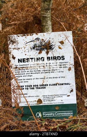 Schild Warnung vor der Gefahr für nistende Vögel im Bereich Leaning Against A Tree im Herbst, New Forest UK. Konzeptschutz, Wildtiere Retten Stockfoto