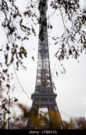 Der Eiffelturm durch Herbstzweige in Paris - Frankreich Stockfoto