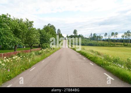 Klarer Weg mit Strasse und grüner Wiese in Schweden im Sommer Stockfoto