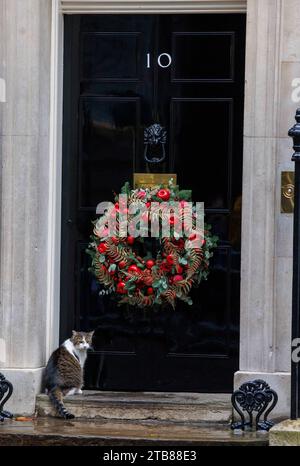 London, Großbritannien. Dezember 2023. Larry the Cat, Chief Mouser zum Finanzministerium, an der Tür von Nummer 10. Quelle: Karl Black/Alamy Live News Stockfoto