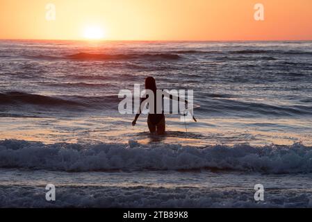 Vielle-Saint-Girons (Südwestfrankreich): Junge Frau, Surferin, von hinten gesehen, die bei Sonnenuntergang in die Wellen des Atlantischen Ozeans eindringt Stockfoto