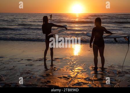 Vielle-Saint-Girons (Südwestfrankreich): Junge Frauen, Surferinnen, von hinten gesehen mit ihren Surfbrettern, am Strand, mit Blick auf den Atlantik Stockfoto