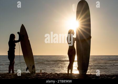 Vielle-Saint-Girons (Südwestfrankreich): Junge Frauen, Surfer mit ihren Surfbrettern, die im Sand am Strand stecken, mit Blick auf den Atlantik, schauen Stockfoto